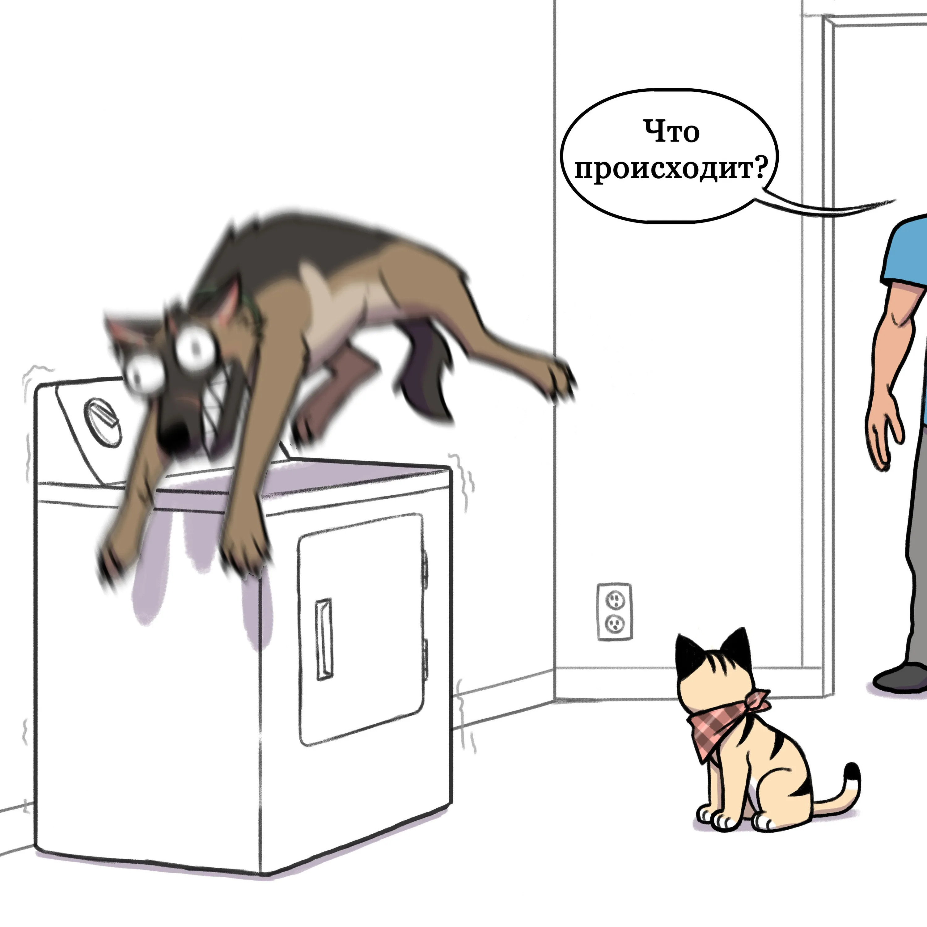 Pixie & Brutus - Dryer (2021.02.16) #5