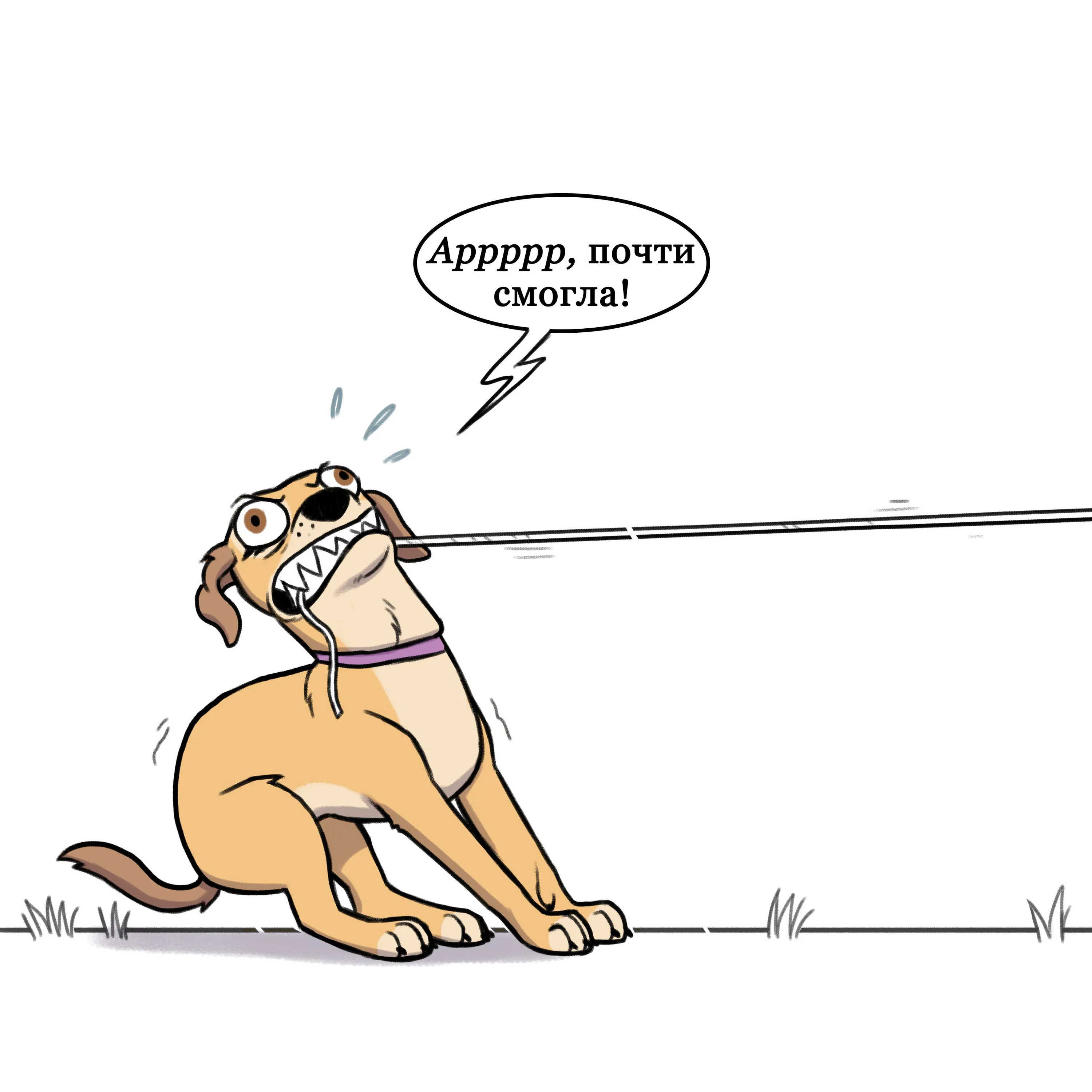 Pixie & Brutus - Pull (2021.03.02) #2