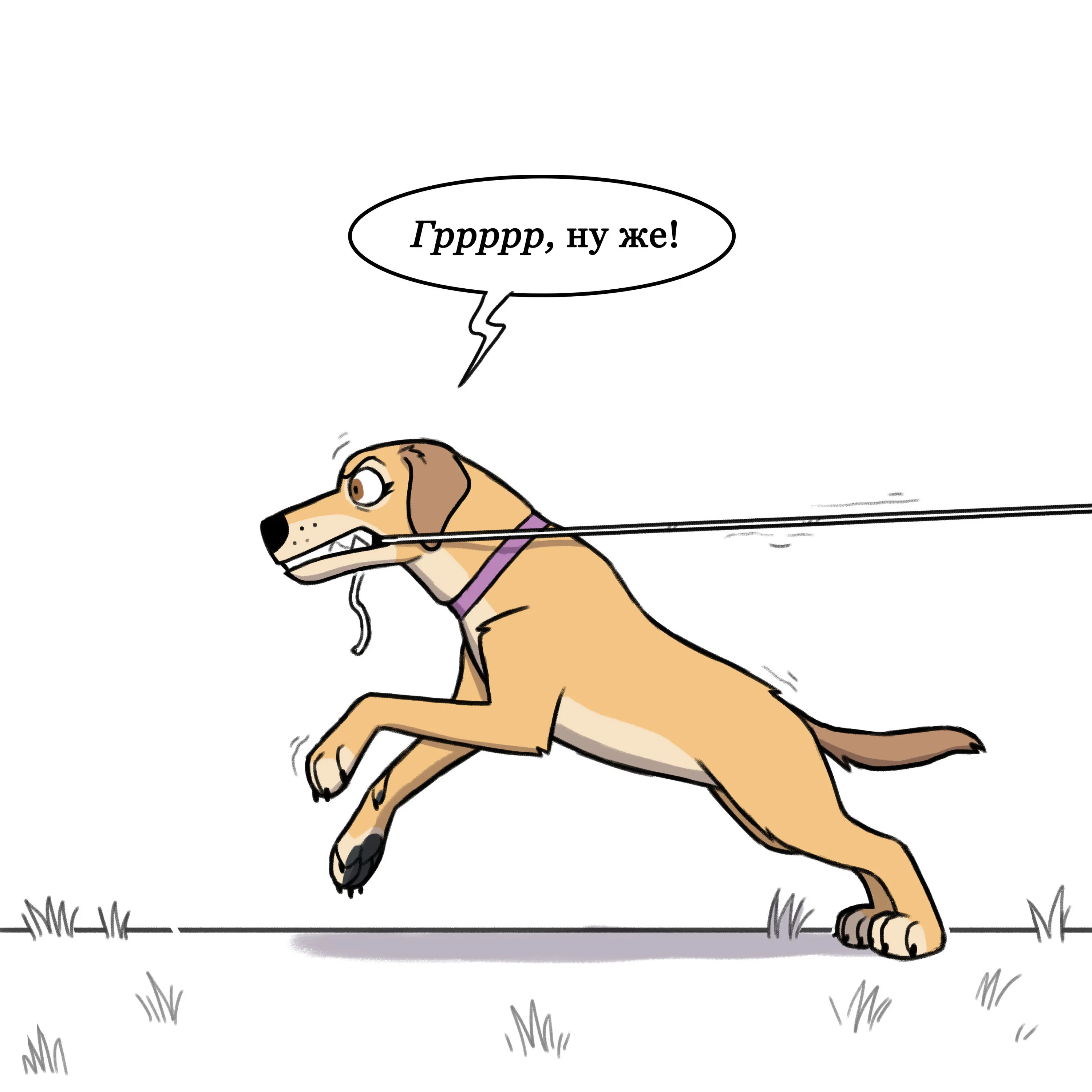 Pixie & Brutus - Pull (2021.03.02) #1