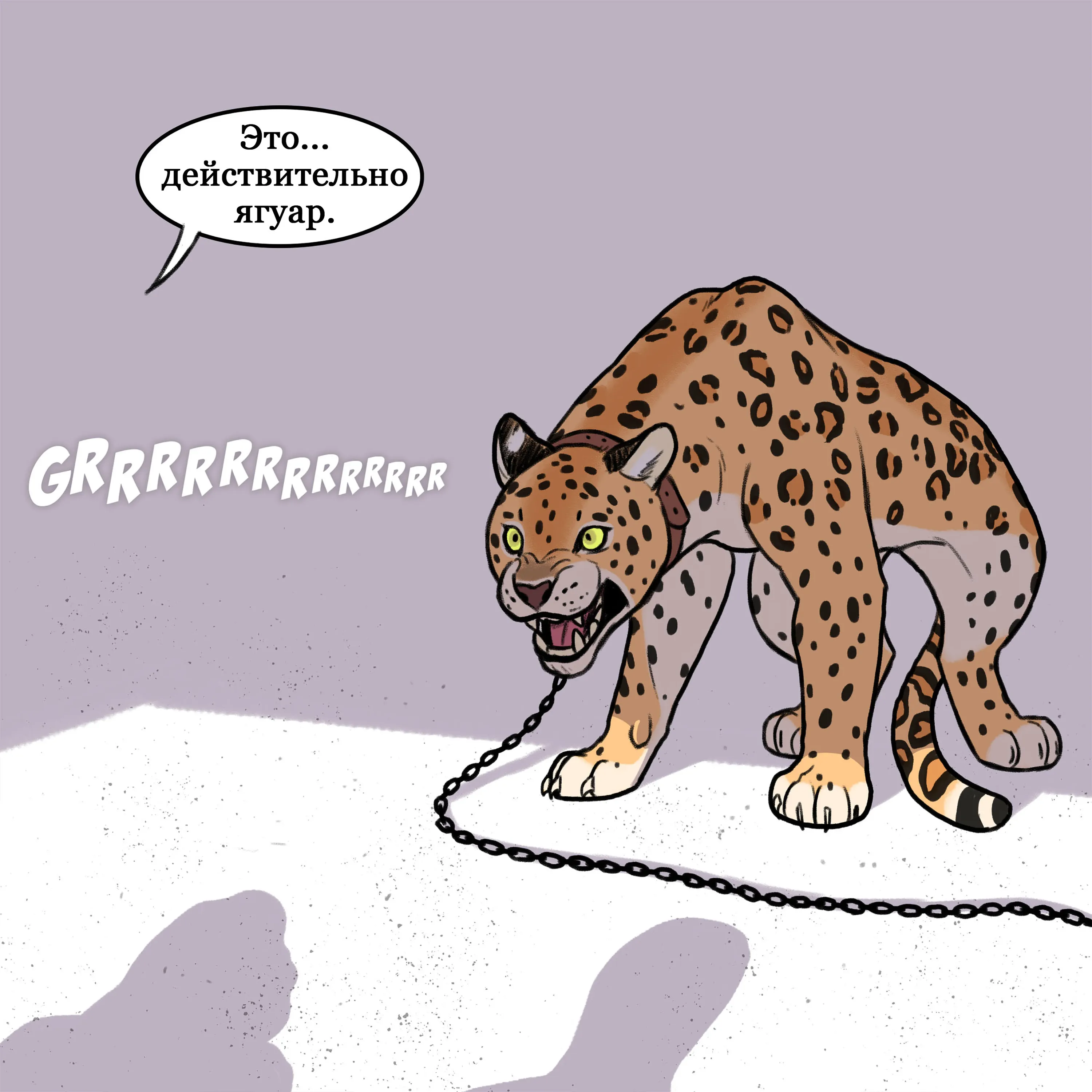 Jaguar (2021.04.18) #3