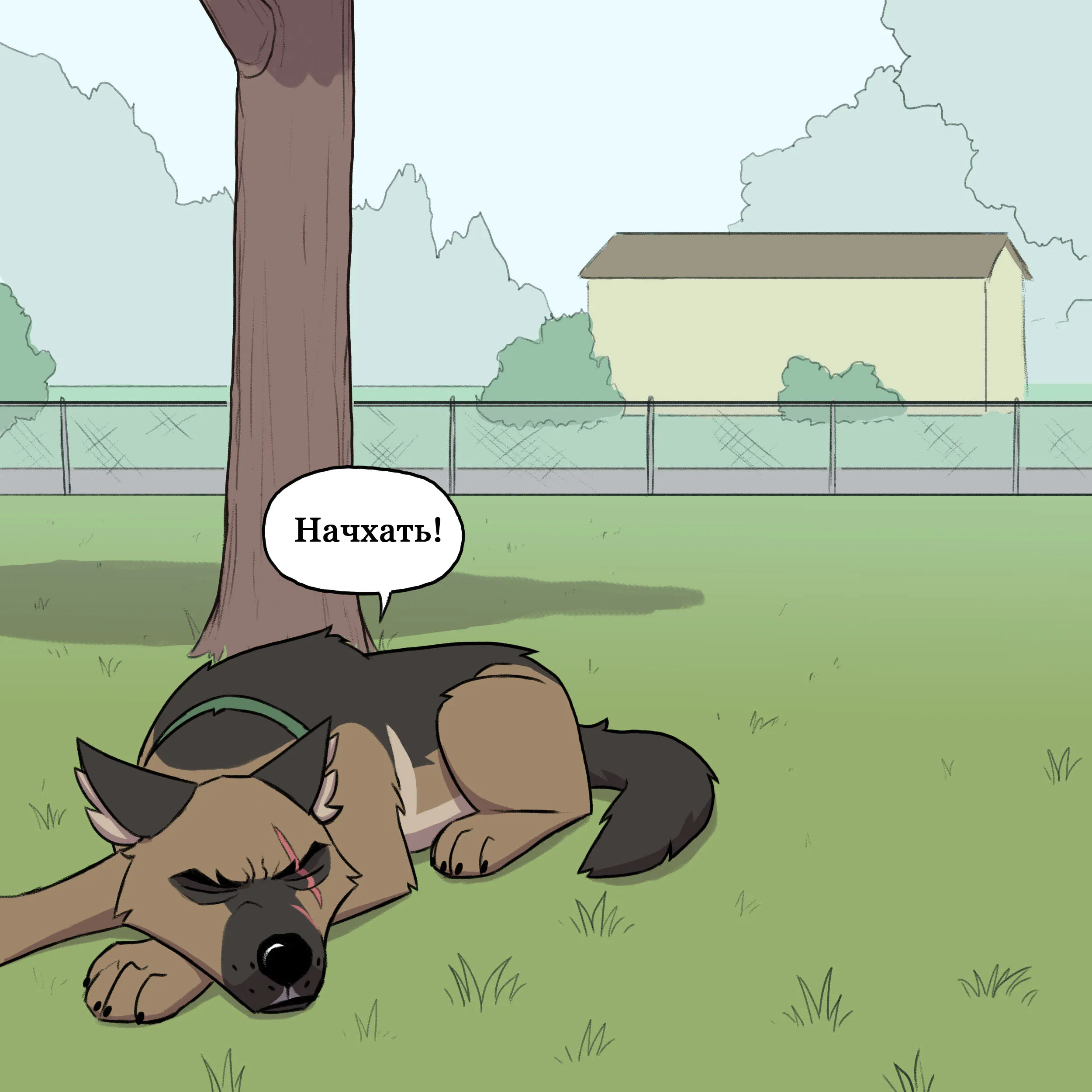 Pixie & Brutus - Grandpa (2021.12.22) #5