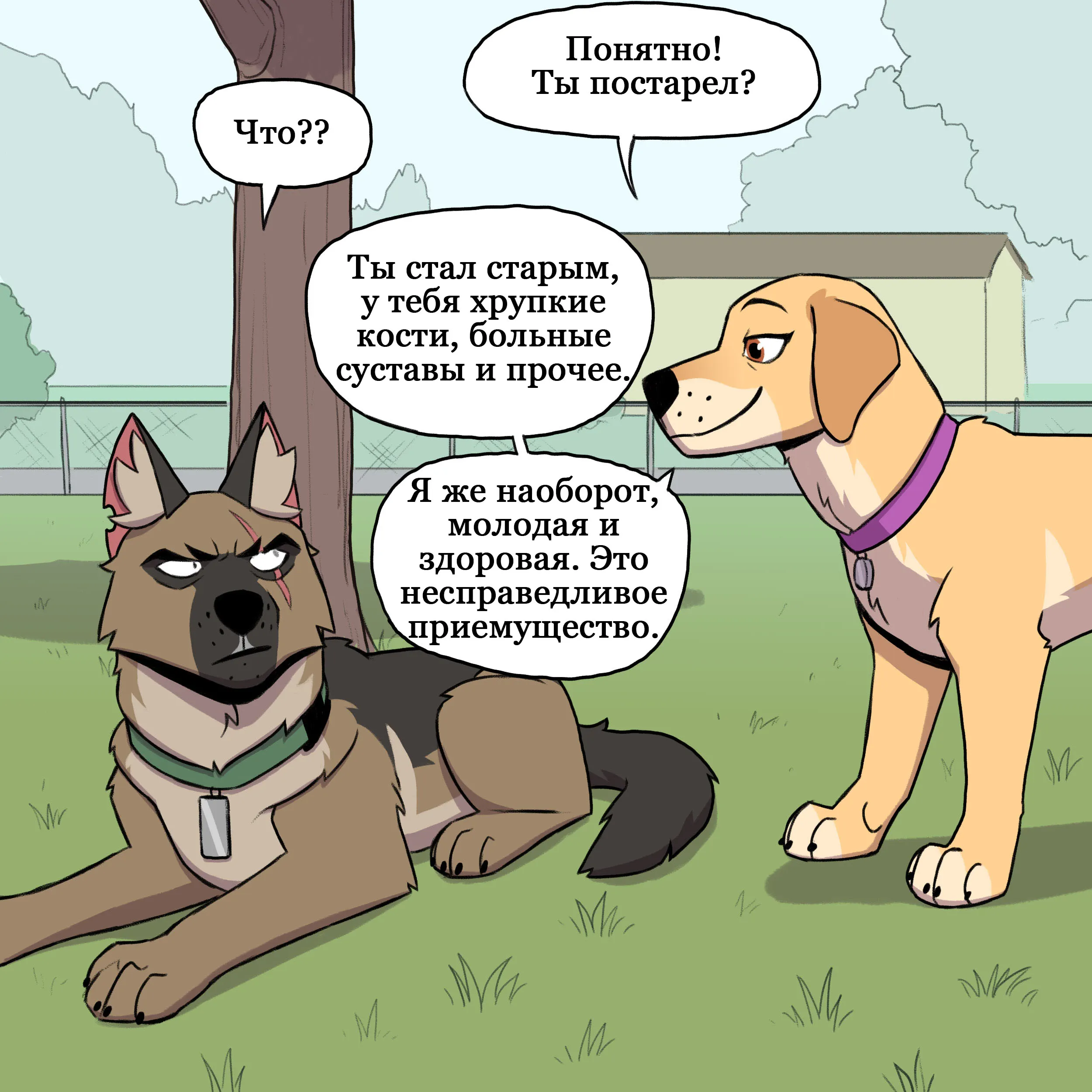 Pixie & Brutus - Grandpa (2021.12.22) #2