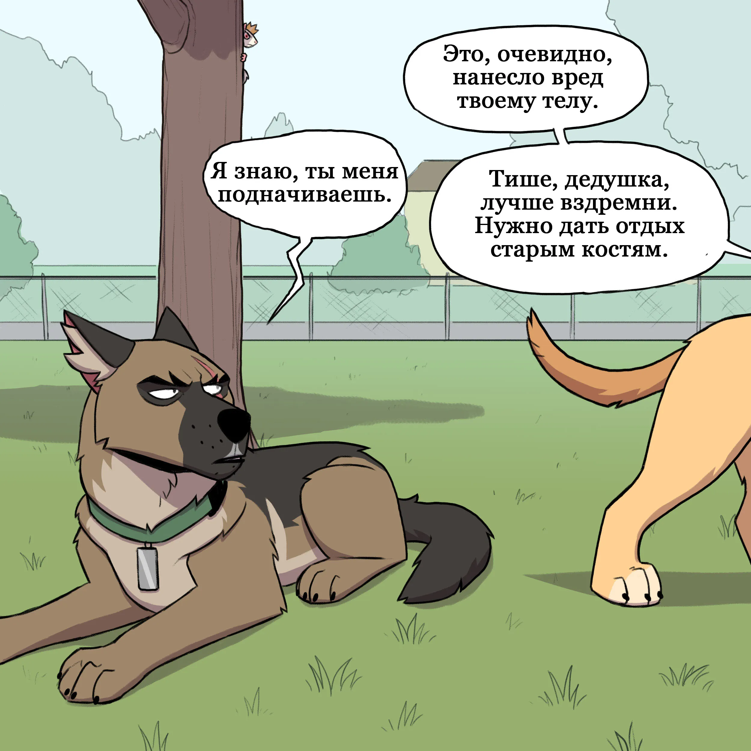 Pixie & Brutus - Grandpa (2021.12.22) #4