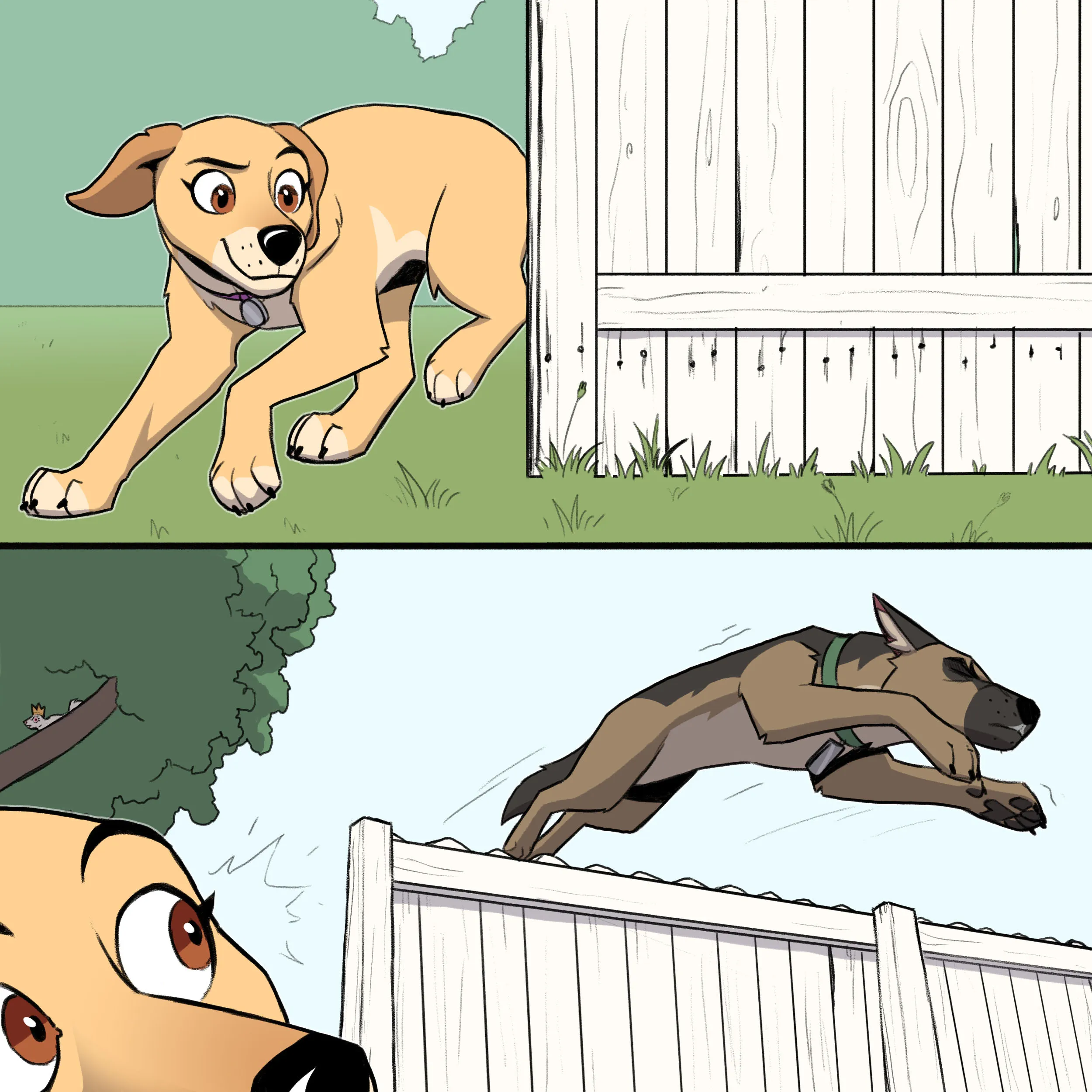 Pixie & Brutus - Grandpa part 2 (2021.12.30) #4