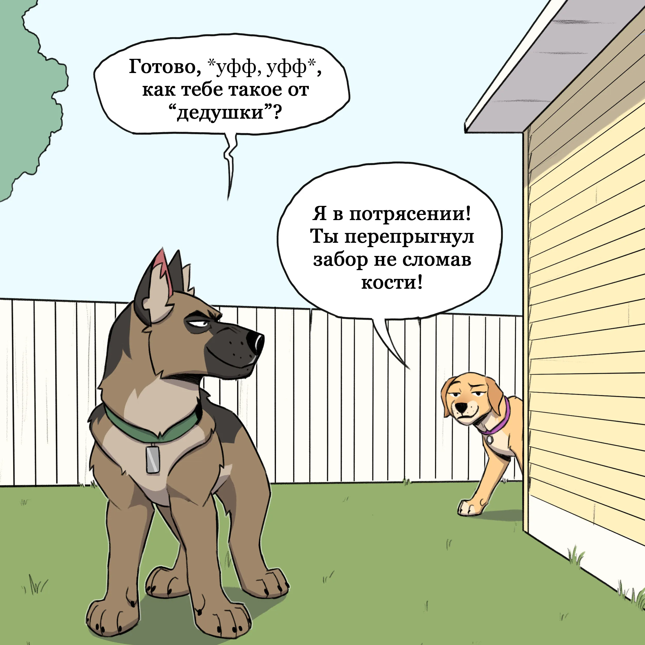 Pixie & Brutus - Grandpa part 2 (2021.12.30) #5