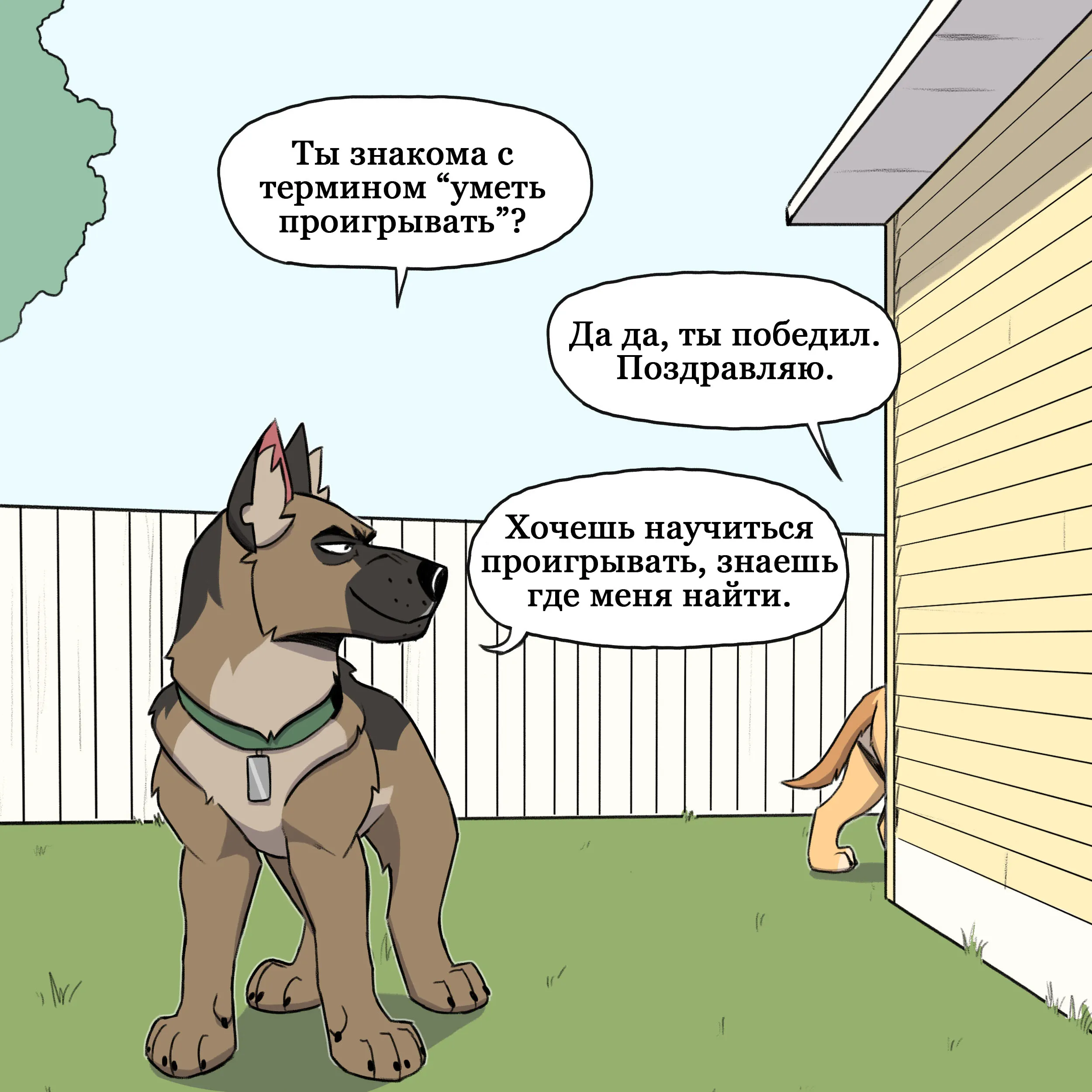 Pixie & Brutus - Grandpa part 2 (2021.12.30) #6