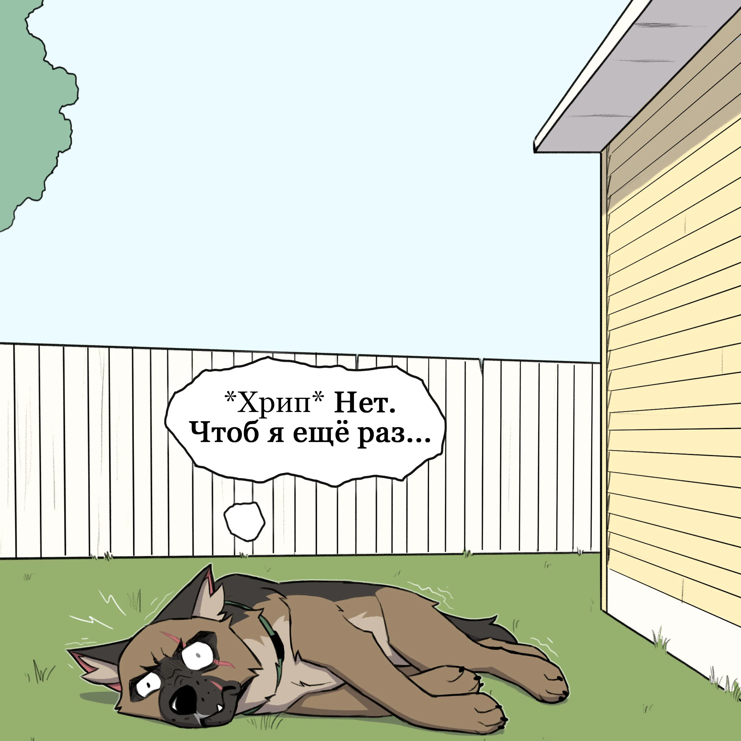 Pixie & Brutus - Grandpa part 2 (2021.12.30) #7