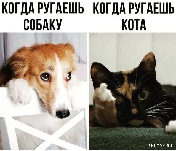 Не ругайте хороших мальчиков #1