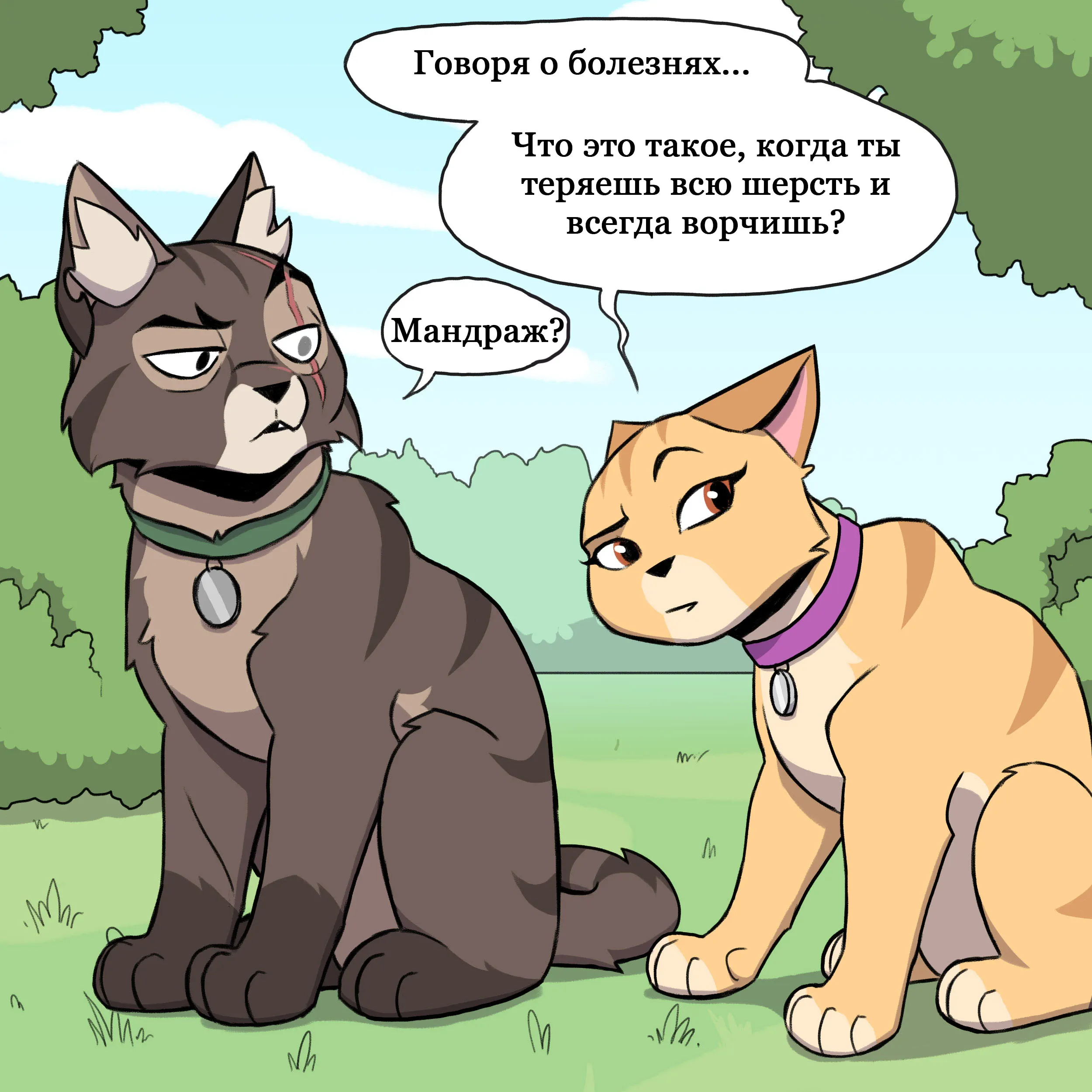 Pixie & Brutus - Alternate (2022.02.01) #4
