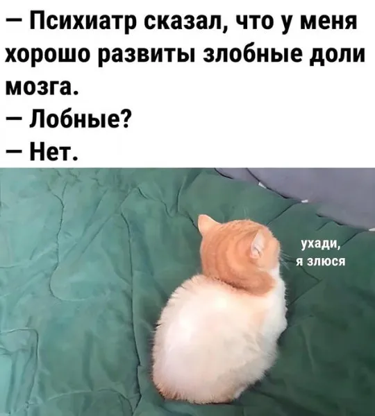 Злобные доли мозга #2