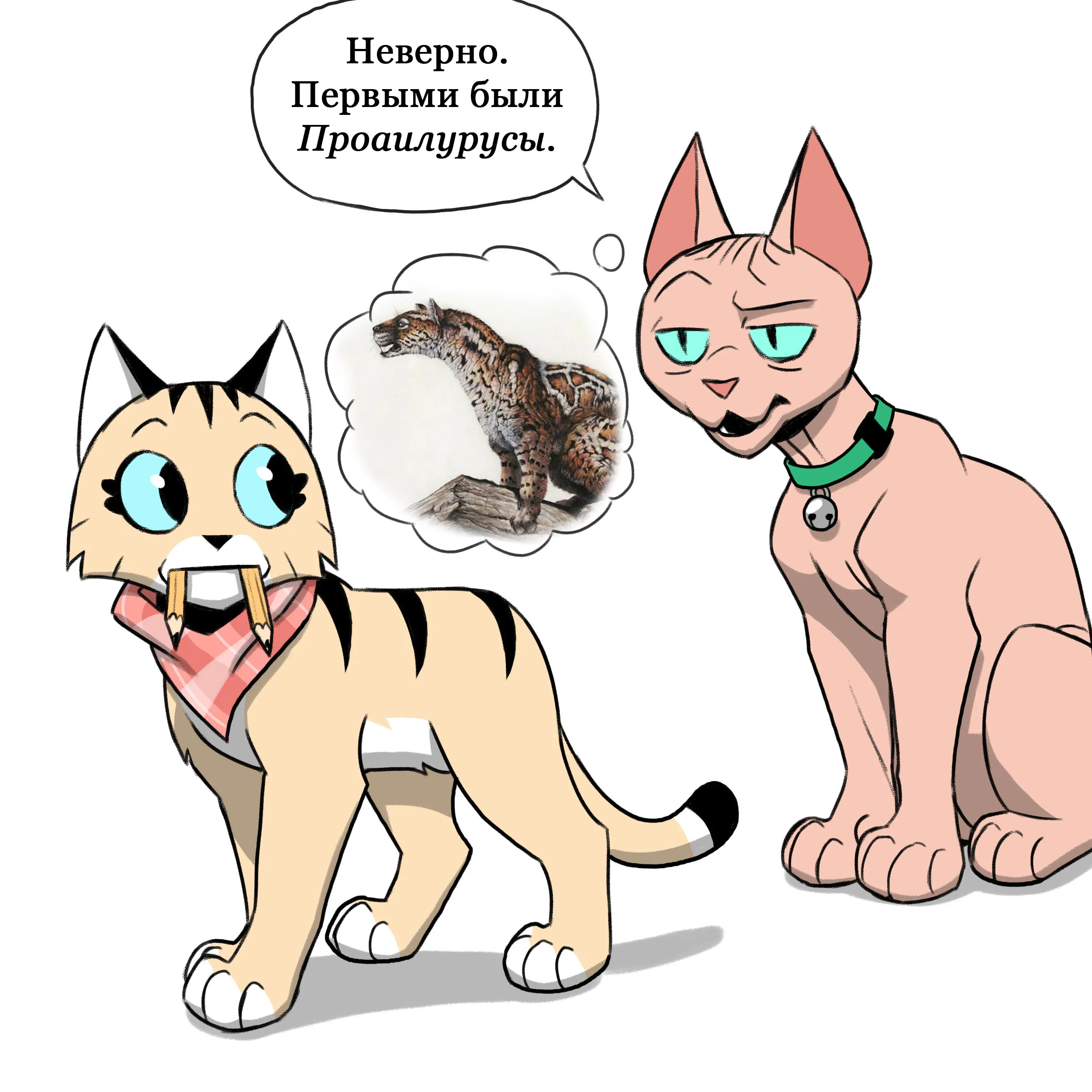 Pixie & Brutus - Saber Tooth (2022.02.23) #2