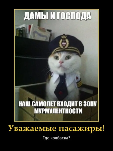 Осторожно, мурмурлентность! #1
