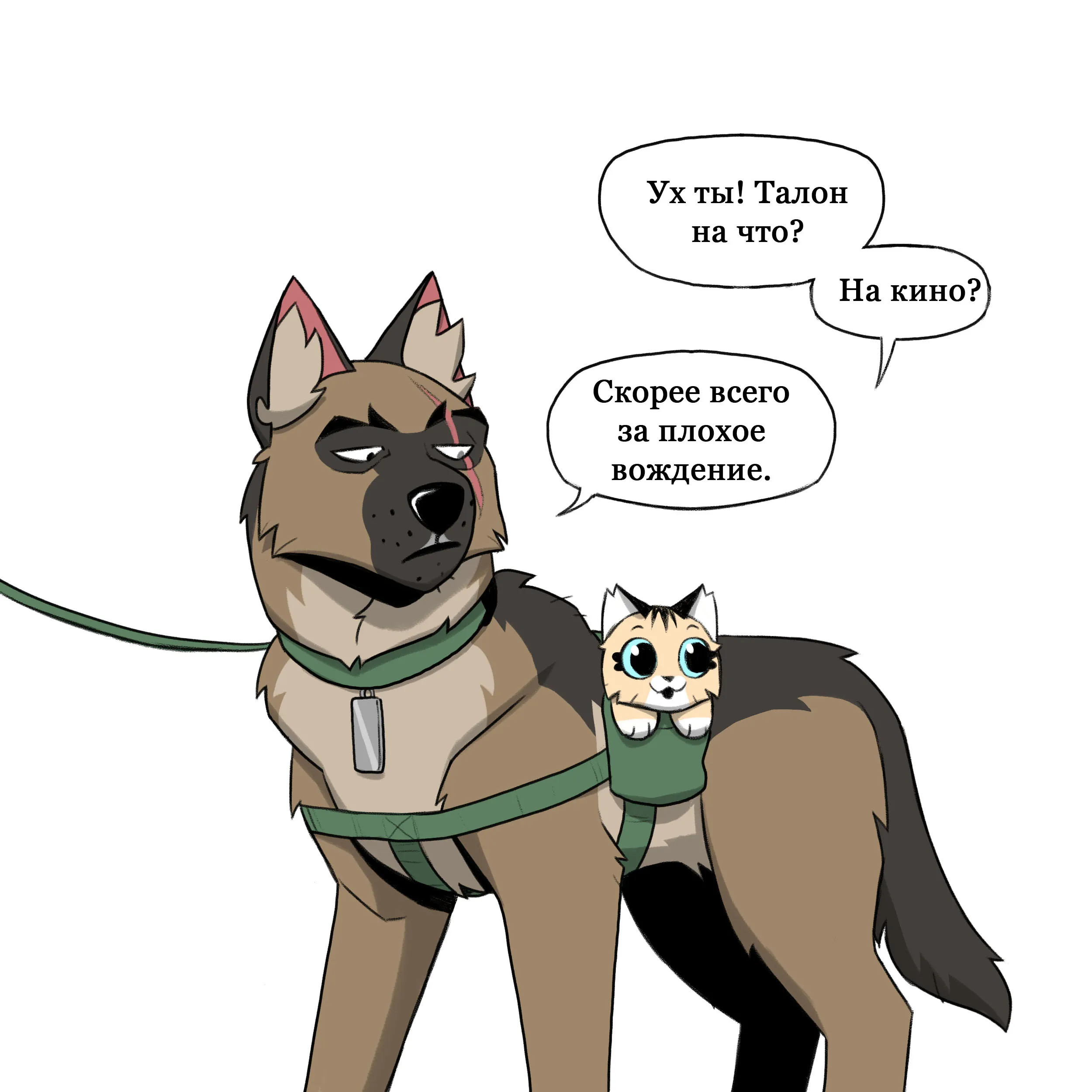 Pixie & Brutus - Christmas Car (2022.04.20) #4