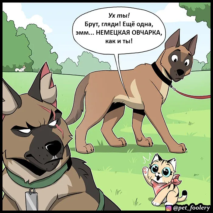 Pixie & Brutus - Malinois (2022.04.16) #2