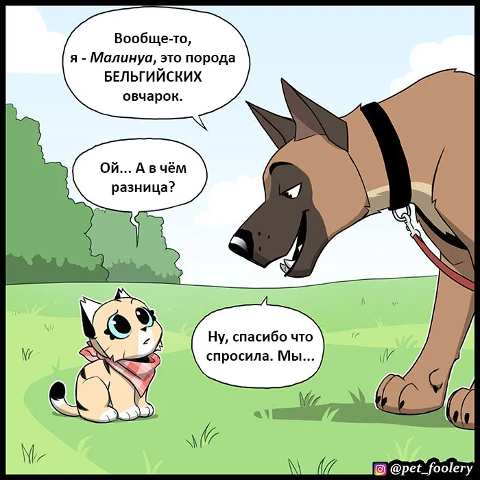 Pixie & Brutus - Malinois (2022.04.16) #3