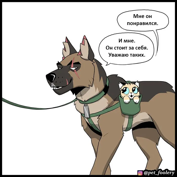 Pixie & Brutus - Malinois (2022.04.16) #9