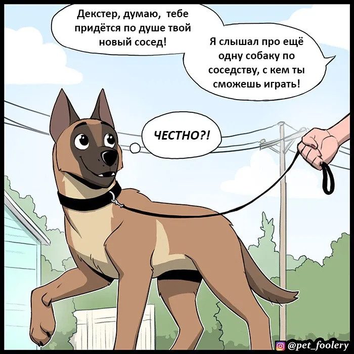 Pixie & Brutus - Dexter (2022.04.22) #1