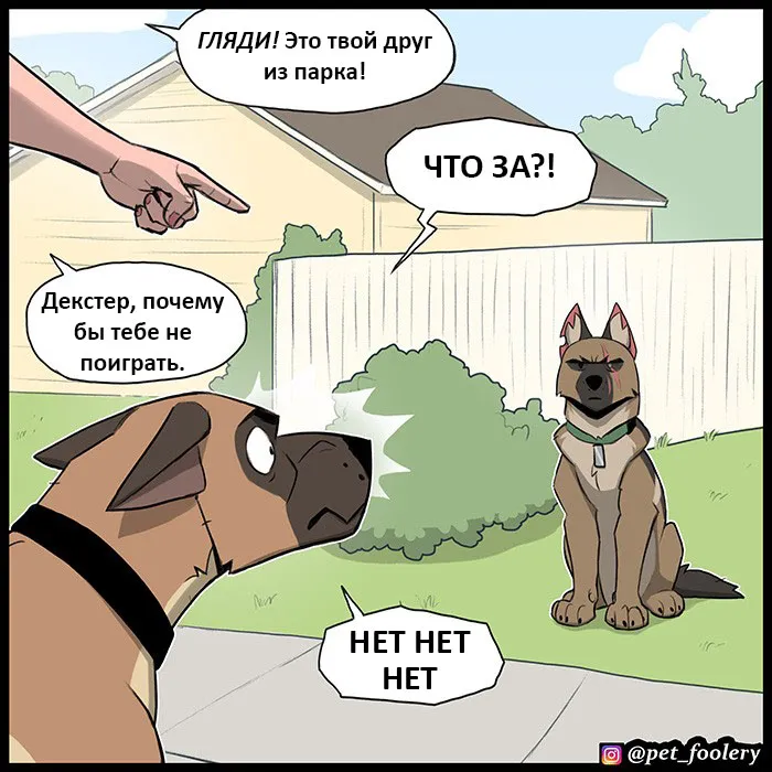 Pixie & Brutus - Dexter (2022.04.22) #2