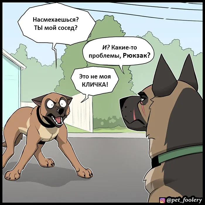 Pixie & Brutus - Dexter (2022.04.22) #3