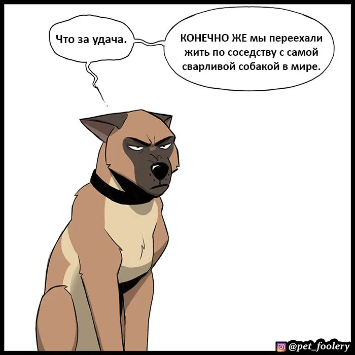 Pixie & Brutus - Dexter (2022.04.22) #4