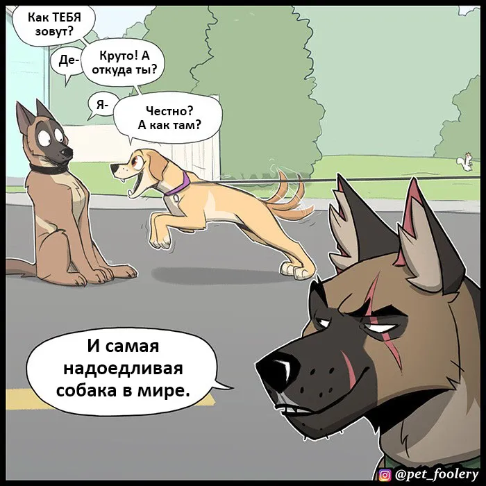 Pixie & Brutus - Dexter (2022.04.22) #6
