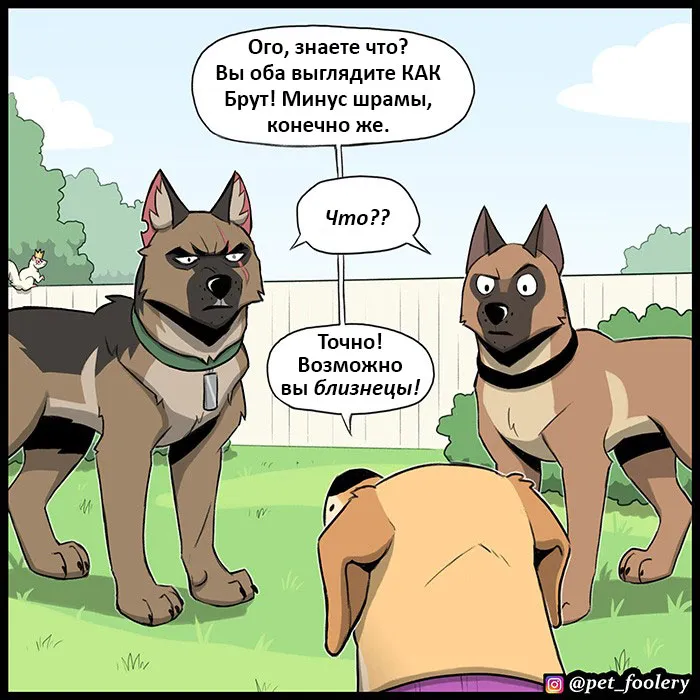 Pixie & Brutus - Twins (2022.04.27) #1