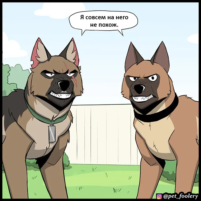 Pixie & Brutus - Twins (2022.04.27) #2