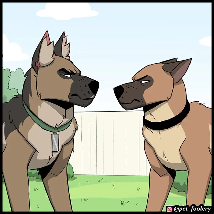 Pixie & Brutus - Twins (2022.04.27) #3