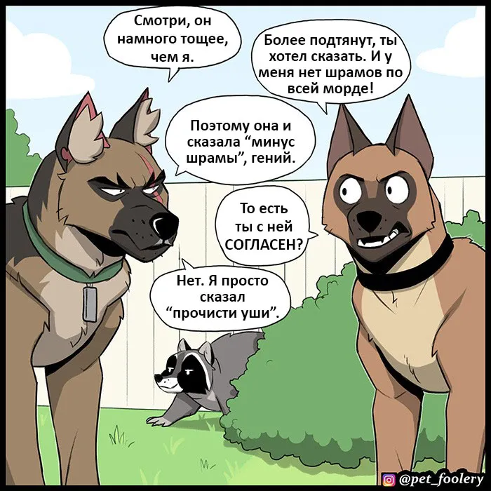 Pixie & Brutus - Twins (2022.04.27) #4