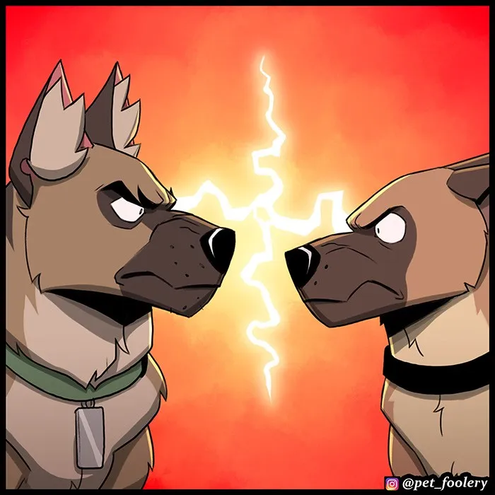 Pixie & Brutus - Twins (2022.04.27) #6