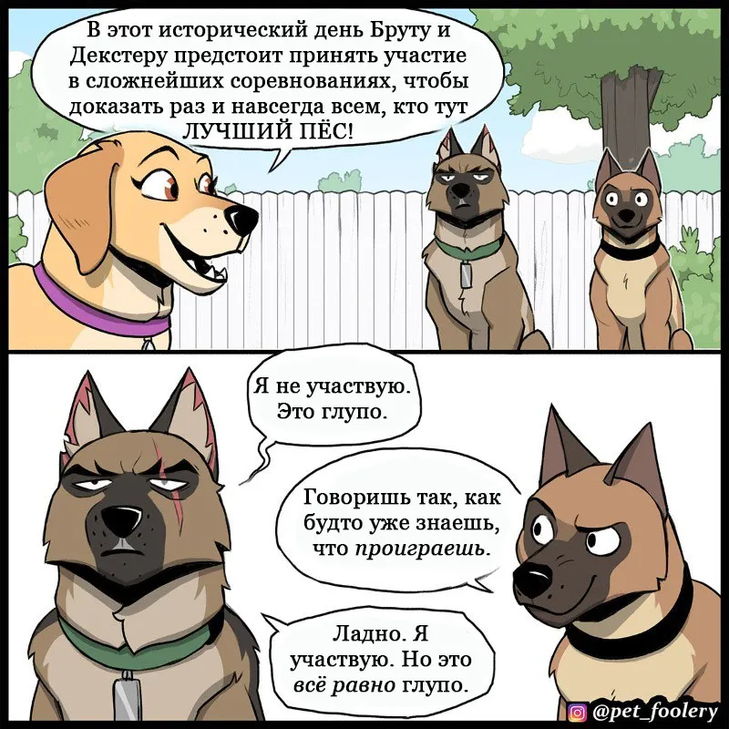 Pixie & Brutus - Top dog (2022.06.20) #1