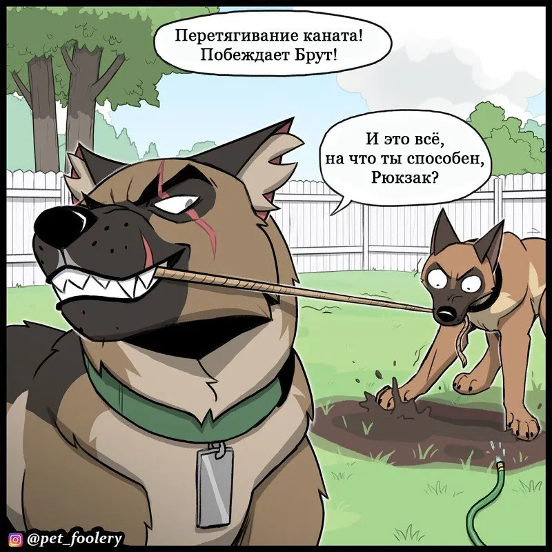 Pixie & Brutus - Top dog (2022.06.20) #2