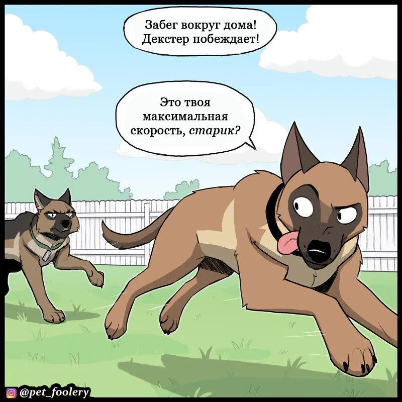 Pixie & Brutus - Top dog (2022.06.20) #3