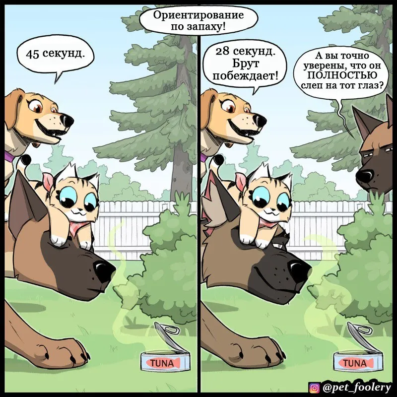 Pixie & Brutus - Top dog (2022.06.20) #4