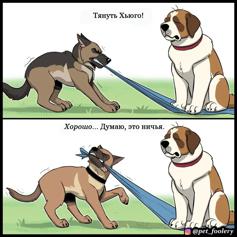 Pixie & Brutus - Top dog (2022.06.20) #5