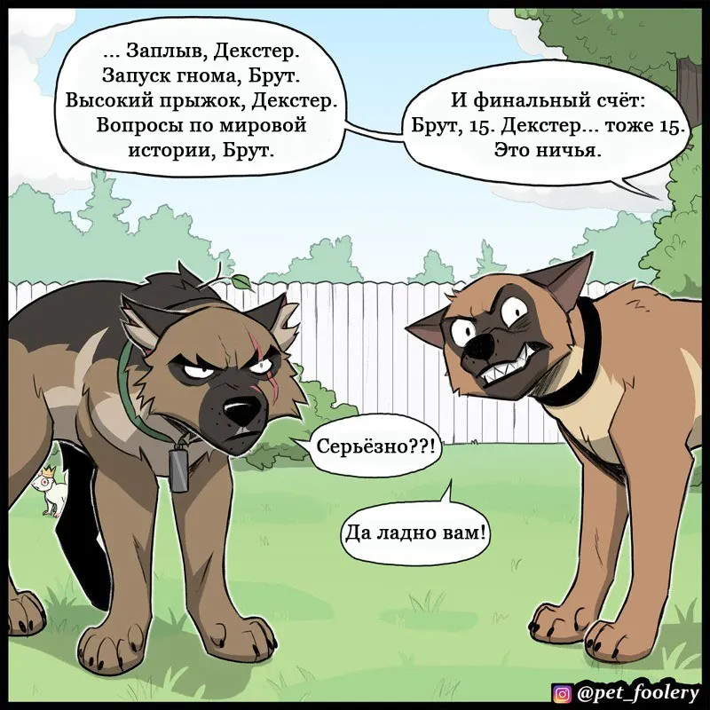 Pixie & Brutus - Top dog (2022.06.20) #6
