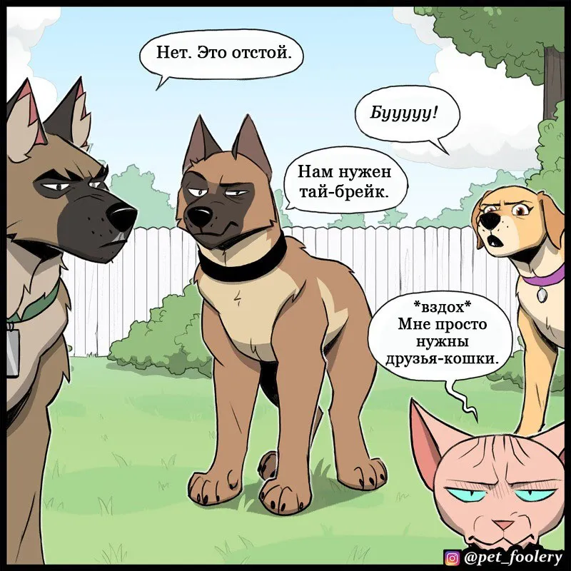 Pixie & Brutus - Top dog (2022.06.20) #8