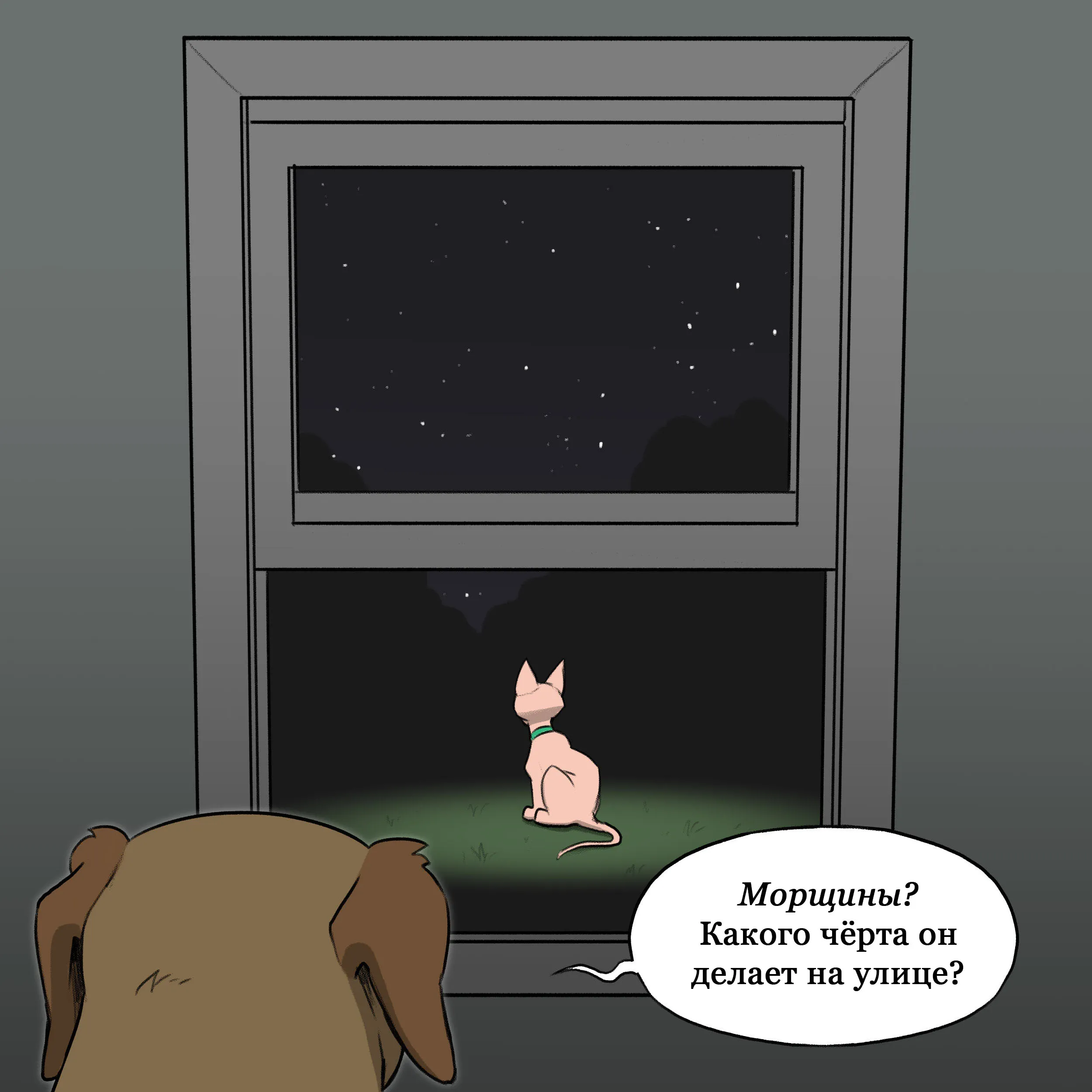 Pixie & Brutus - Dream (2022.05.23) #4