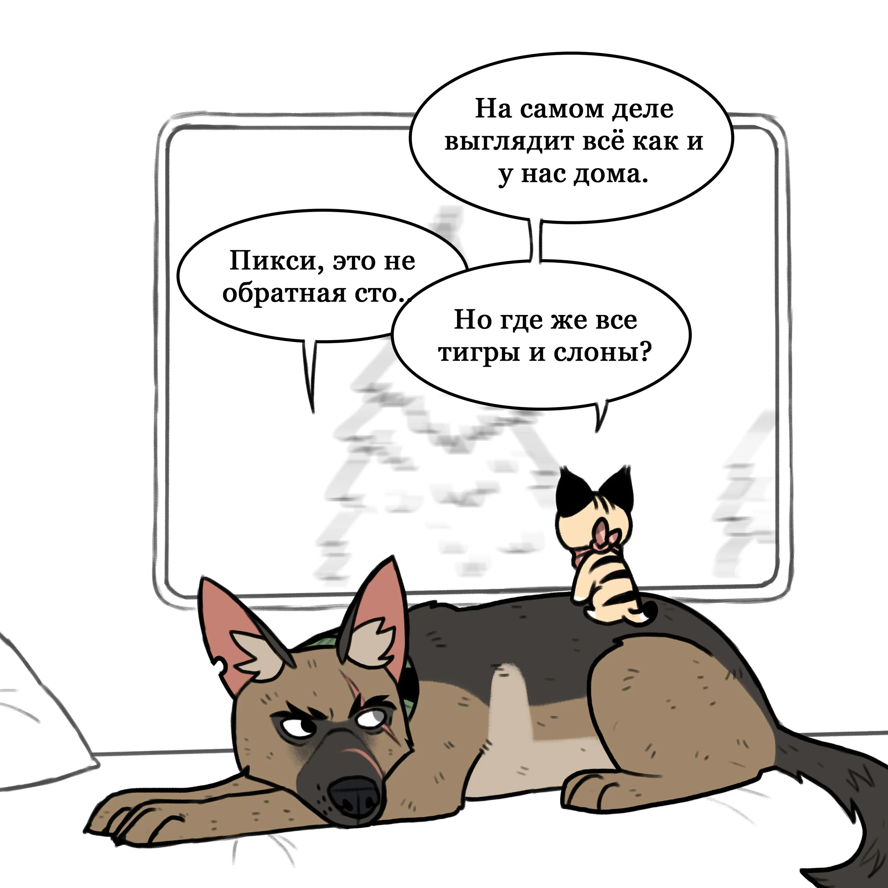 Pixie & Brutus - Road Trip (2020.05.05) #5
