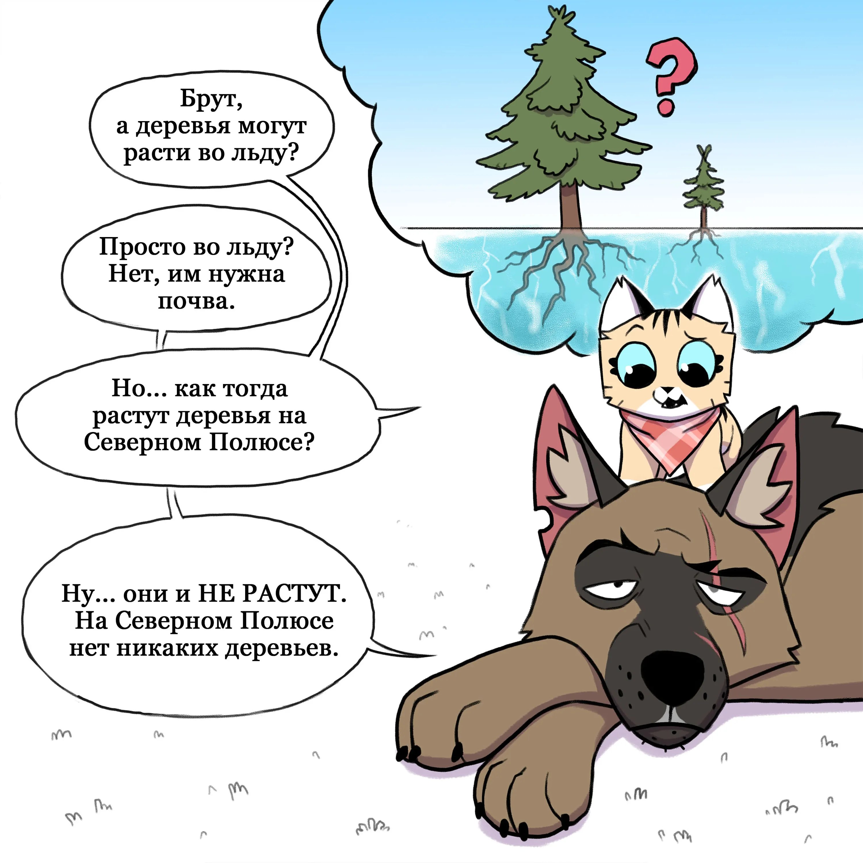 Pixie & Brutus - North Pole (2021.06.25) #2