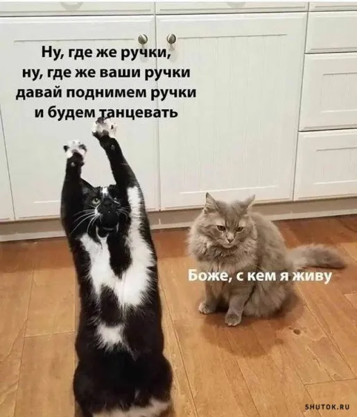 Где же ваши ручки?! #2