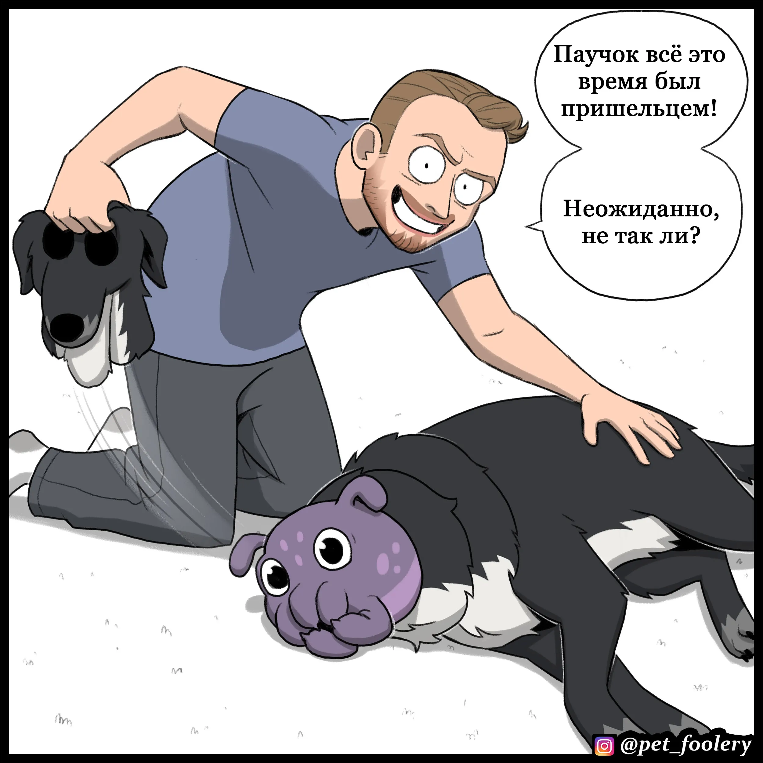 Spider (2022.05.24) #5