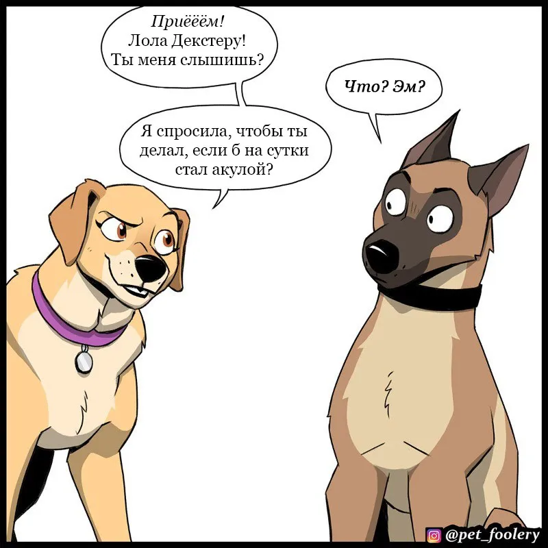 Pixie & Brutus - Talk (2023.04.12) #3