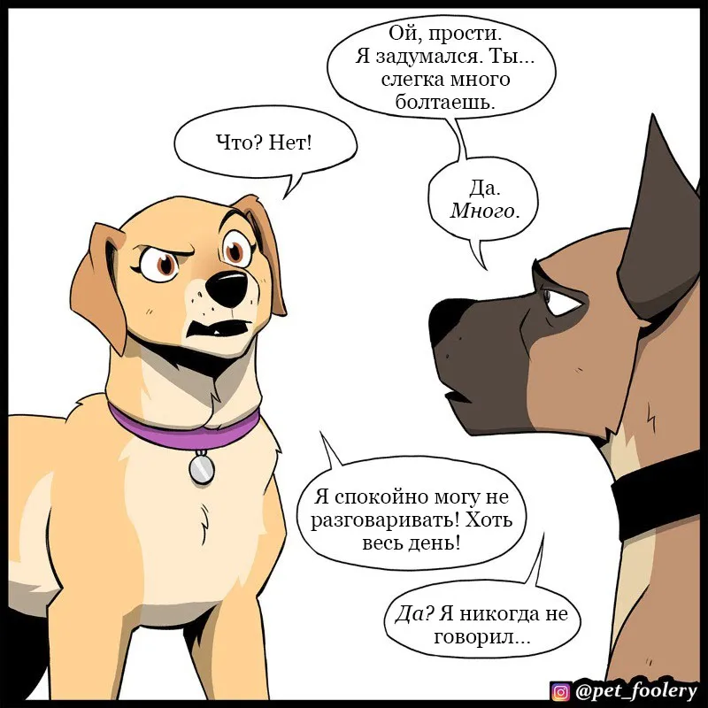 Pixie & Brutus - Talk (2023.04.12) #4