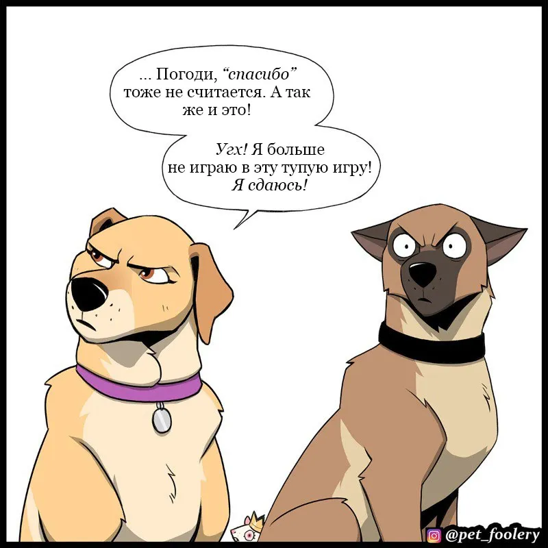 Pixie & Brutus - Talk (2023.04.12) #7