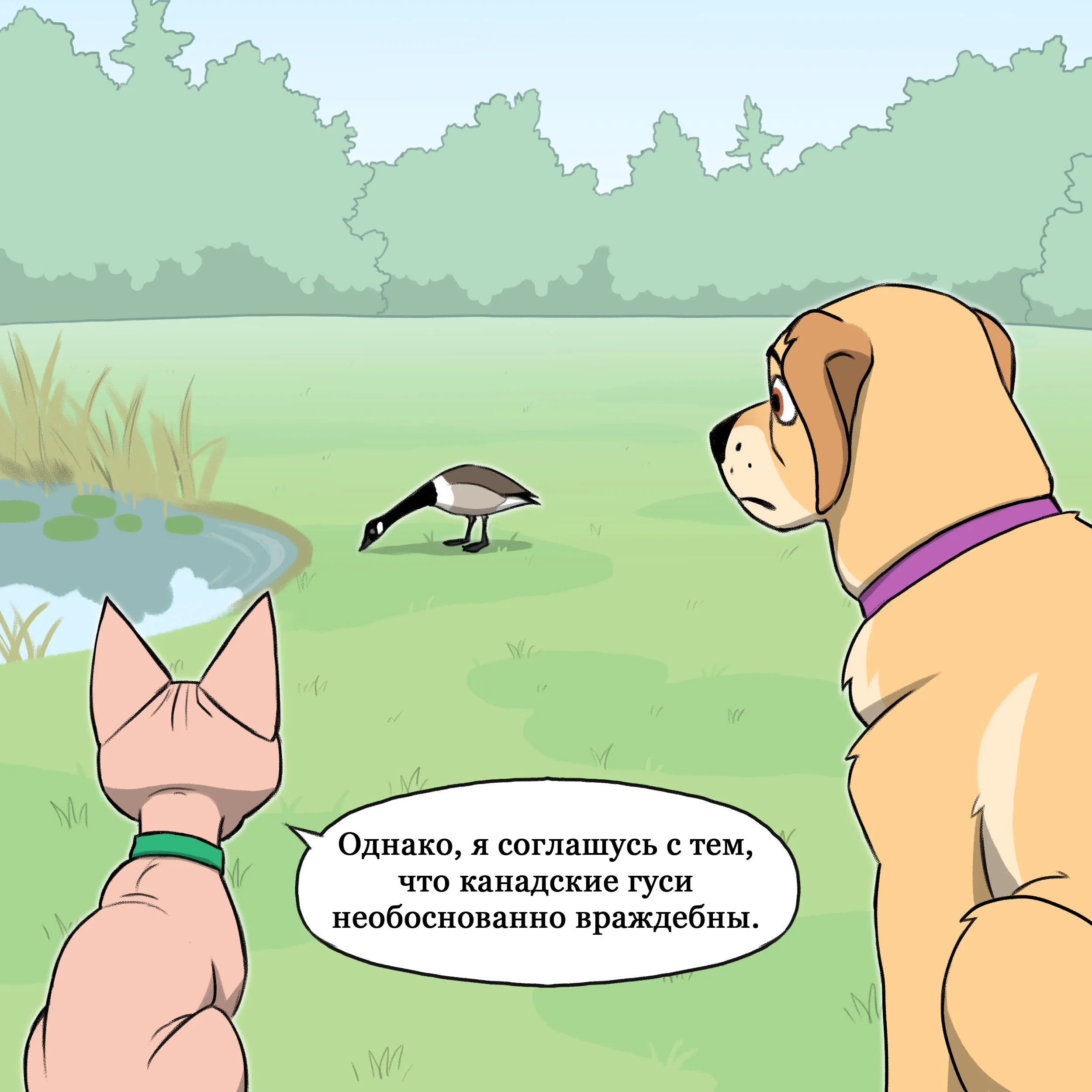 Pixie & Brutus - Canadians (2022.06.08) #5