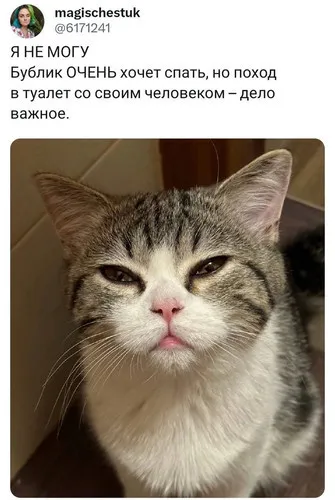 Надо всегда поддерживать своего человека #1