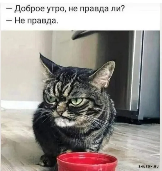 Добрый день #1