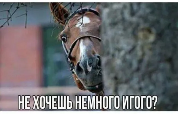 Немного игого вам в ленту #2