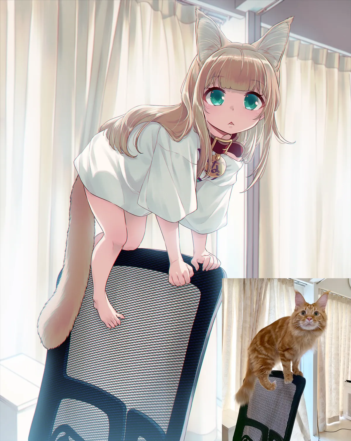 My Cat Is a Kawaii Girl - Бонусы #1